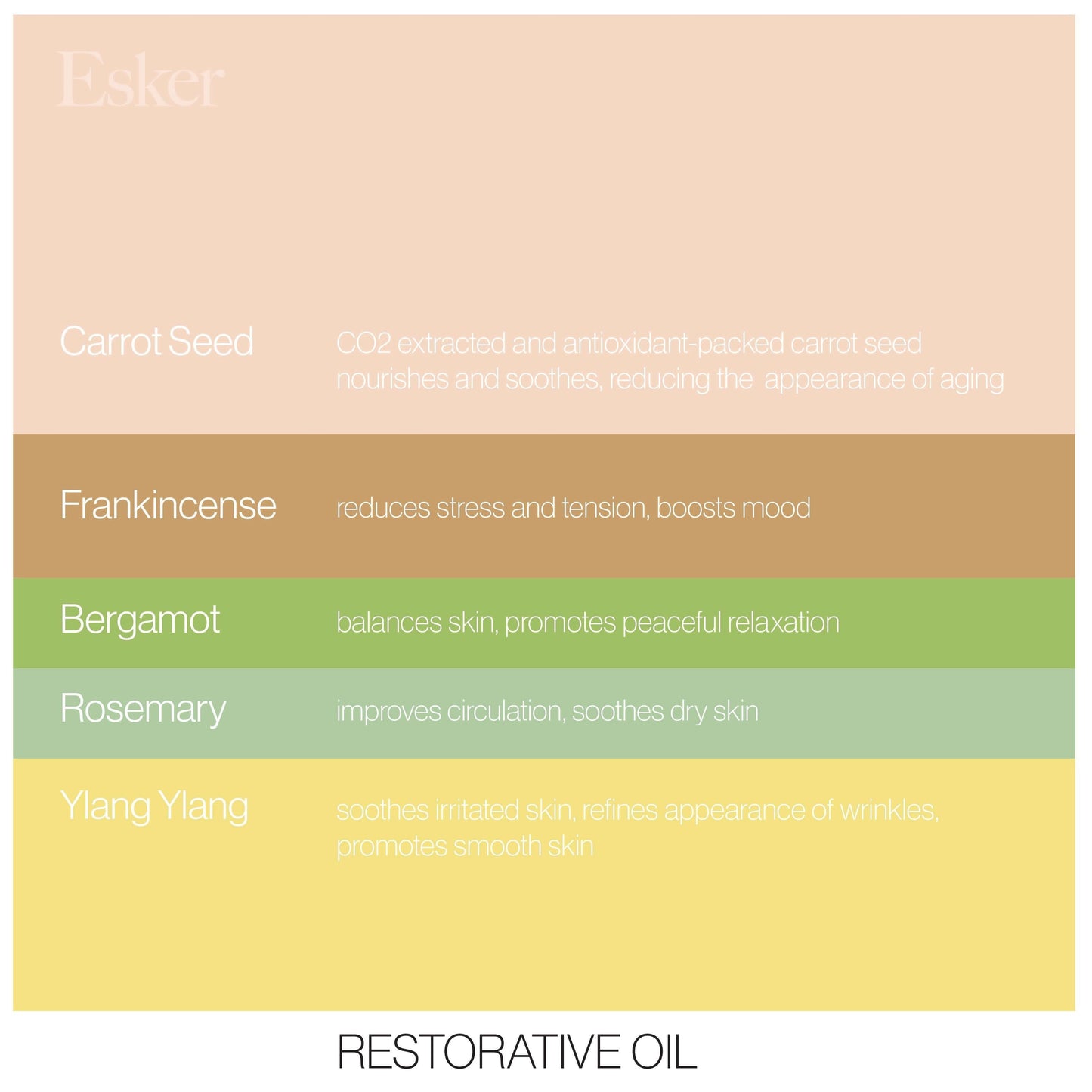 Restorative Body Oil - Fast-Absorbing Hydration