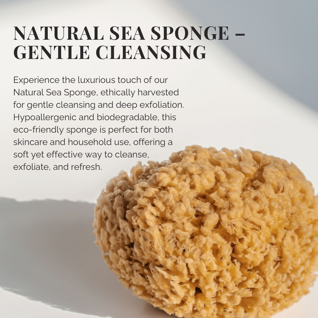 Natural Sea Sponge - Ethically Harvested Bath and Skincare Sponge