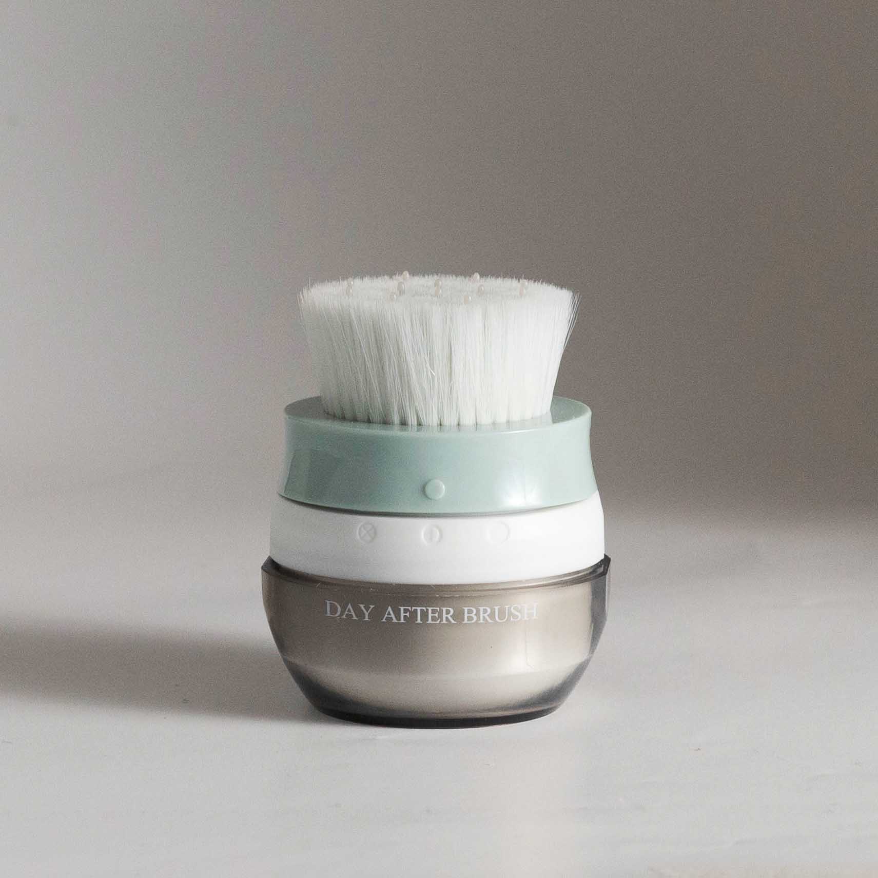 Day After™ Brush - Dry Shampoo Powder Applicator