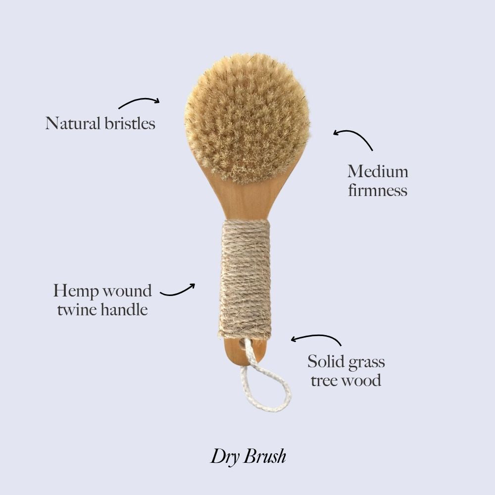 Dry Brush - Natural Bristle Body Exfoliating Tool