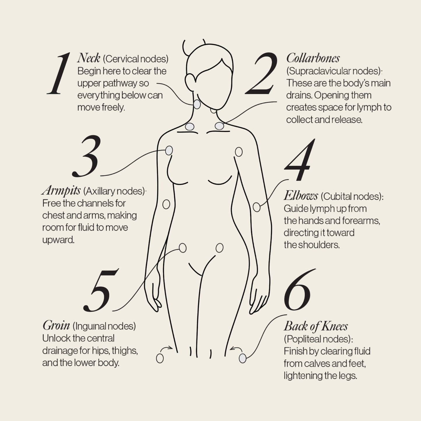 Lymphatic Drainage Dots - Wearable Body Care Patches