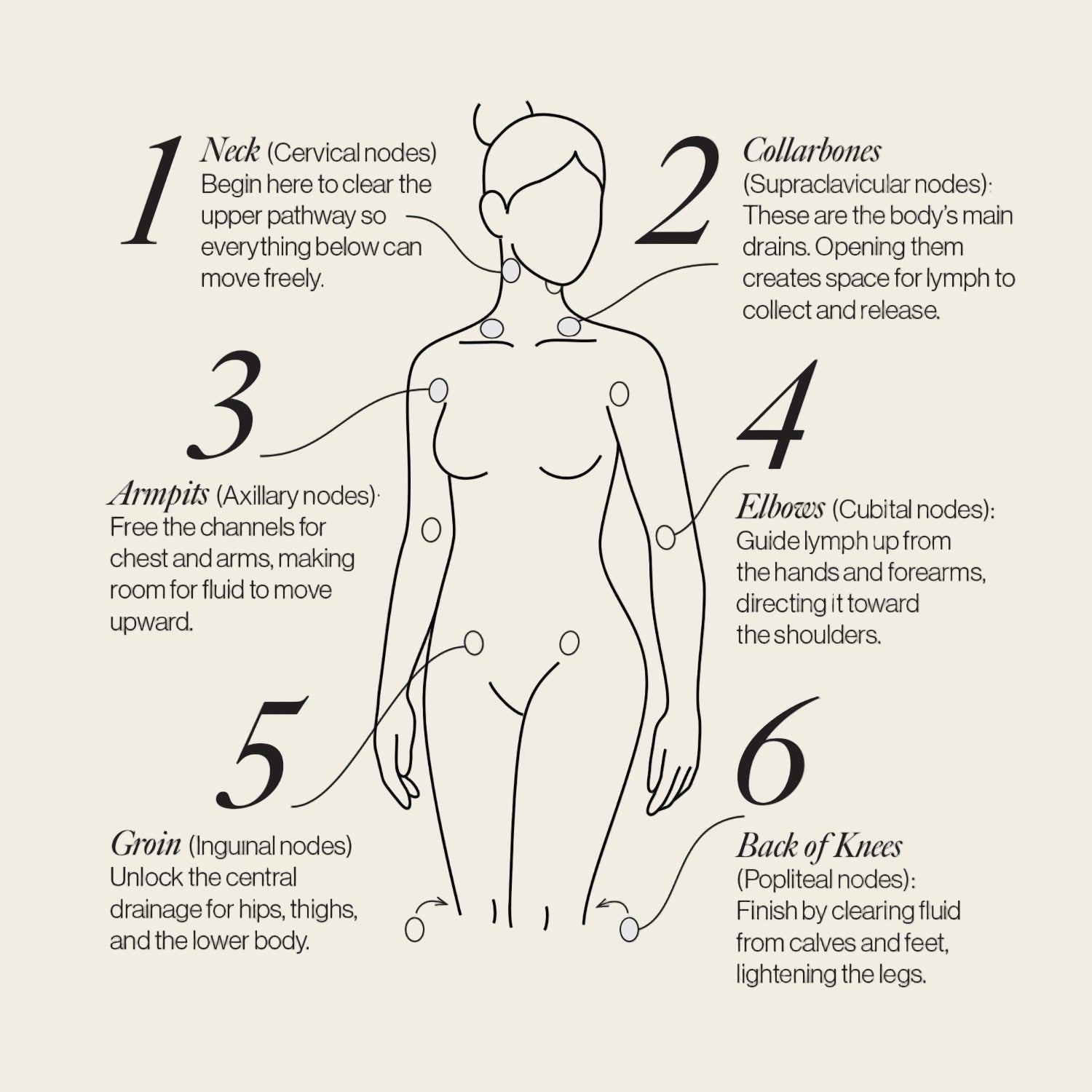 Lymphatic Drainage Dots - Wearable Body Care Patches