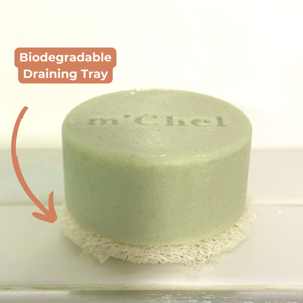 Complete Hair Care Bundle - Day After Brush + Shampoo & Conditioner Bars