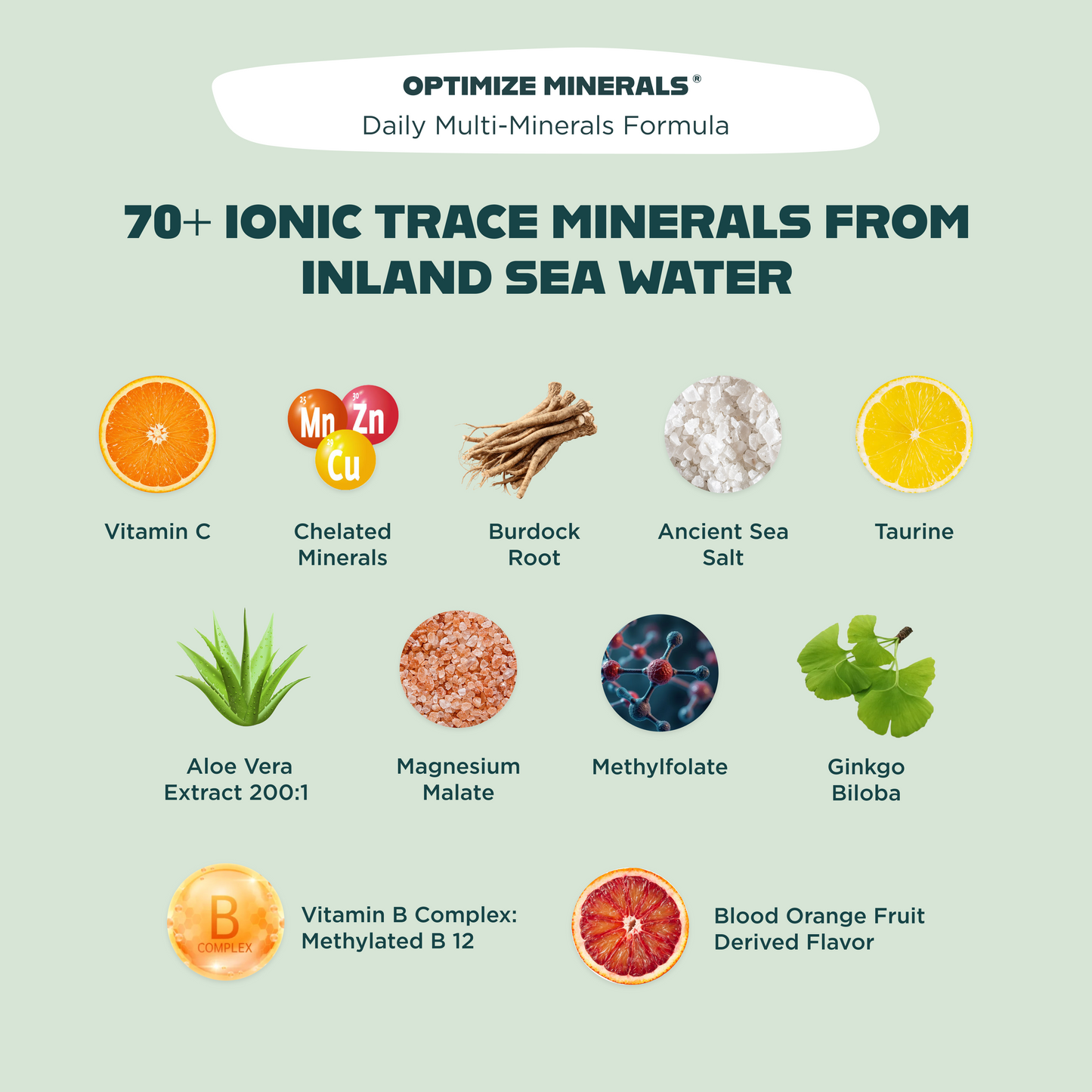 MVP Bundle - Complete Daily Performance System (Minerals, Vitamins & Hydration)