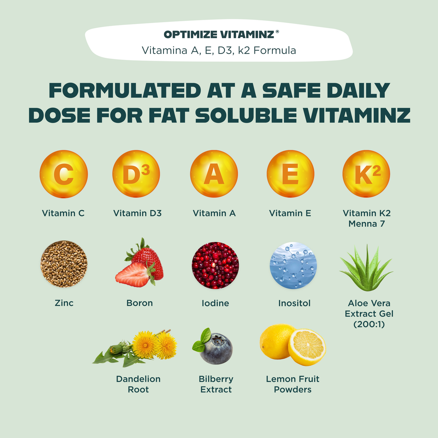 MVP Bundle - Complete Daily Performance System (Minerals, Vitamins & Hydration)