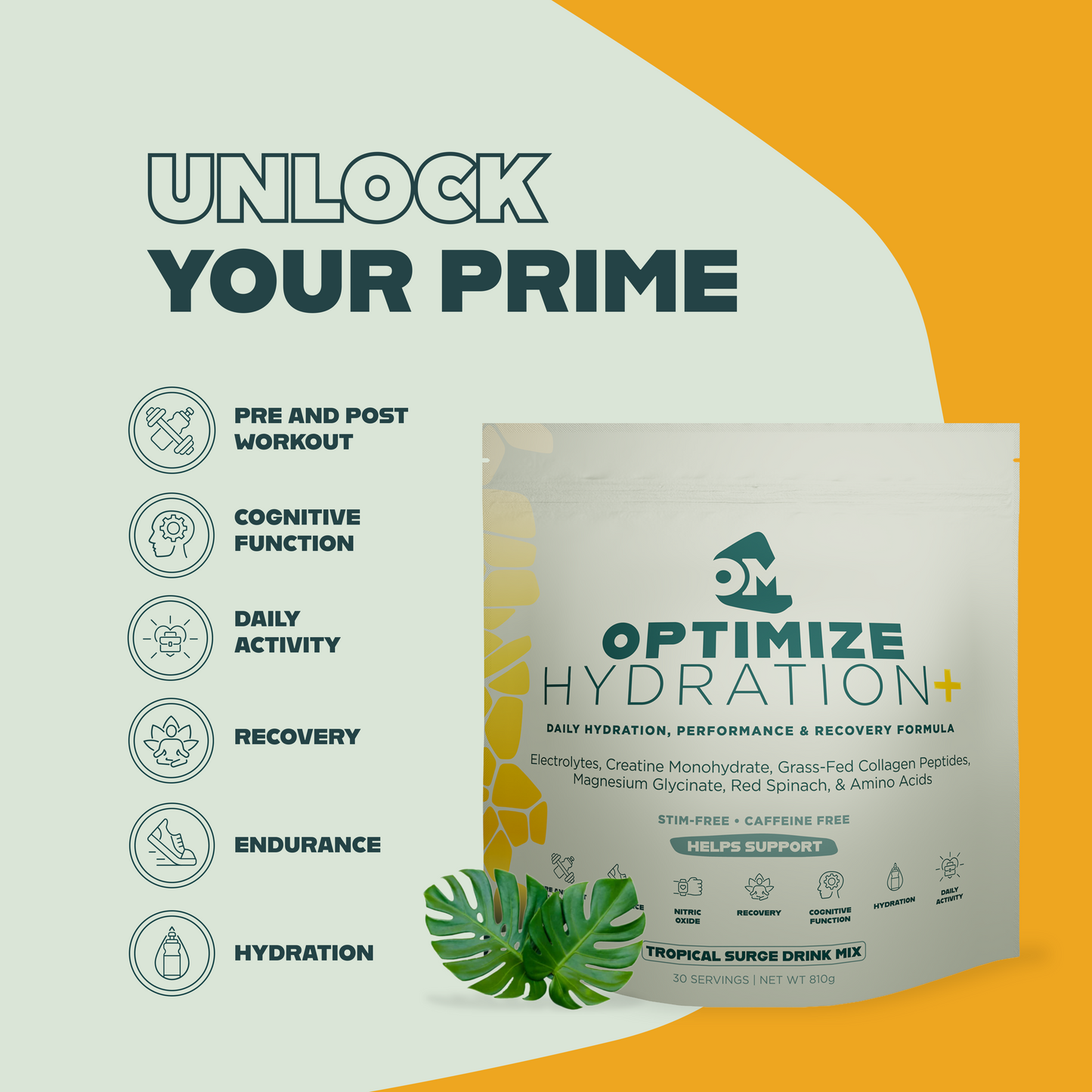 Optimize Hydration+ Electrolyte Powder with Creatine & Collagen - 30 Day Supply