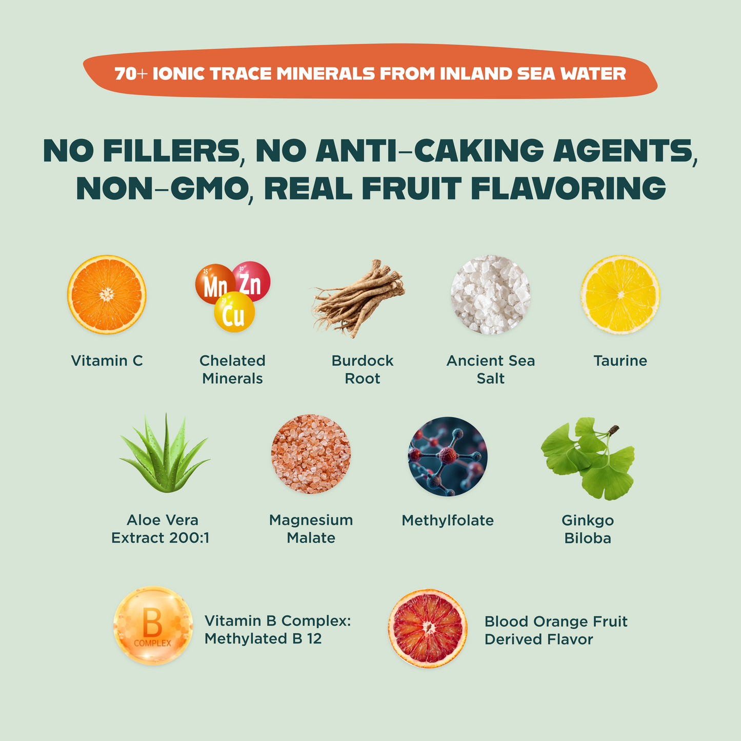 Optimize Minerals - Ionic Trace Minerals & Electrolytes Powder (30 Day Supply)