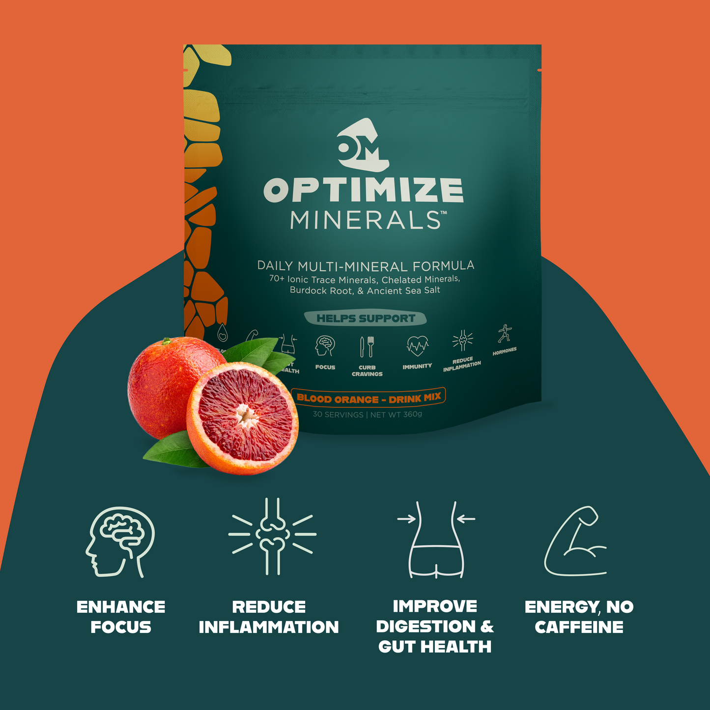 Optimize Minerals - Ionic Trace Minerals & Electrolytes Powder (30 Day Supply)