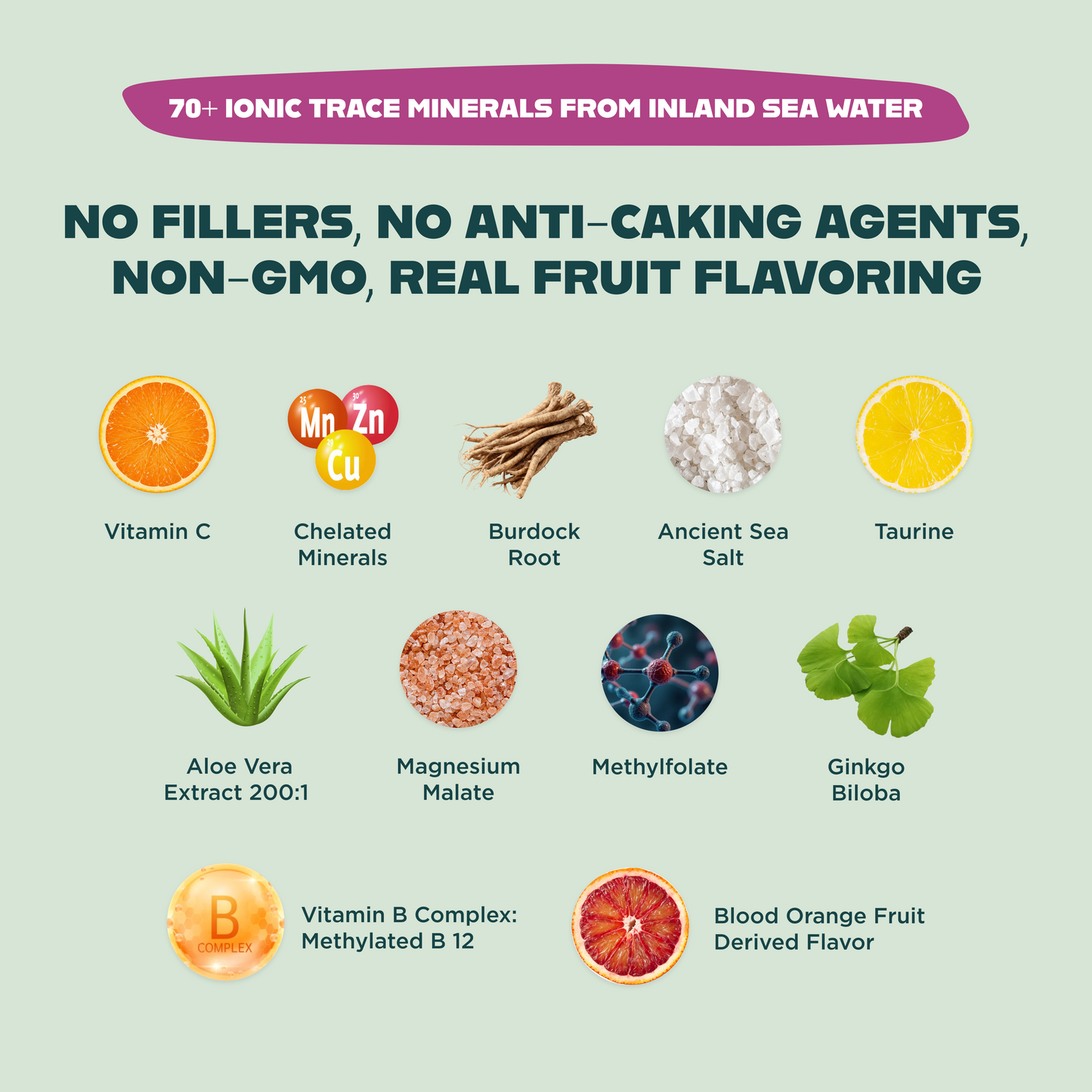 Optimize Minerals & Vitaminz Bundle - Complete Daily Nutrition System (30 Day Supply)