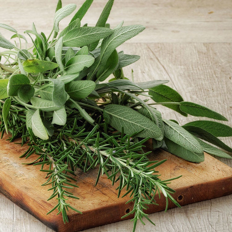 Rosemary and Sage Reed Diffuser