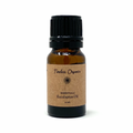 Eucalyptus Essential Oil – 100% Pure