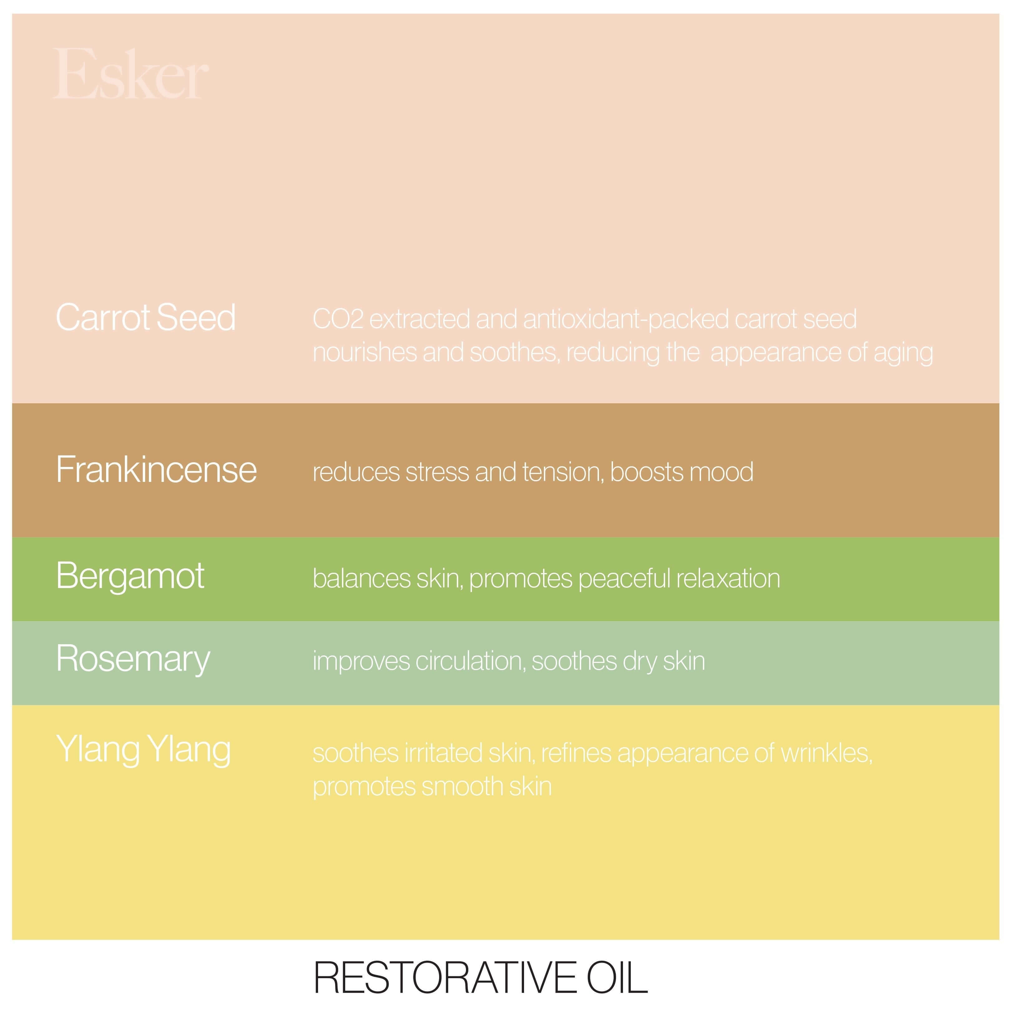 Restorative Body Oil - Fast-Absorbing Hydration