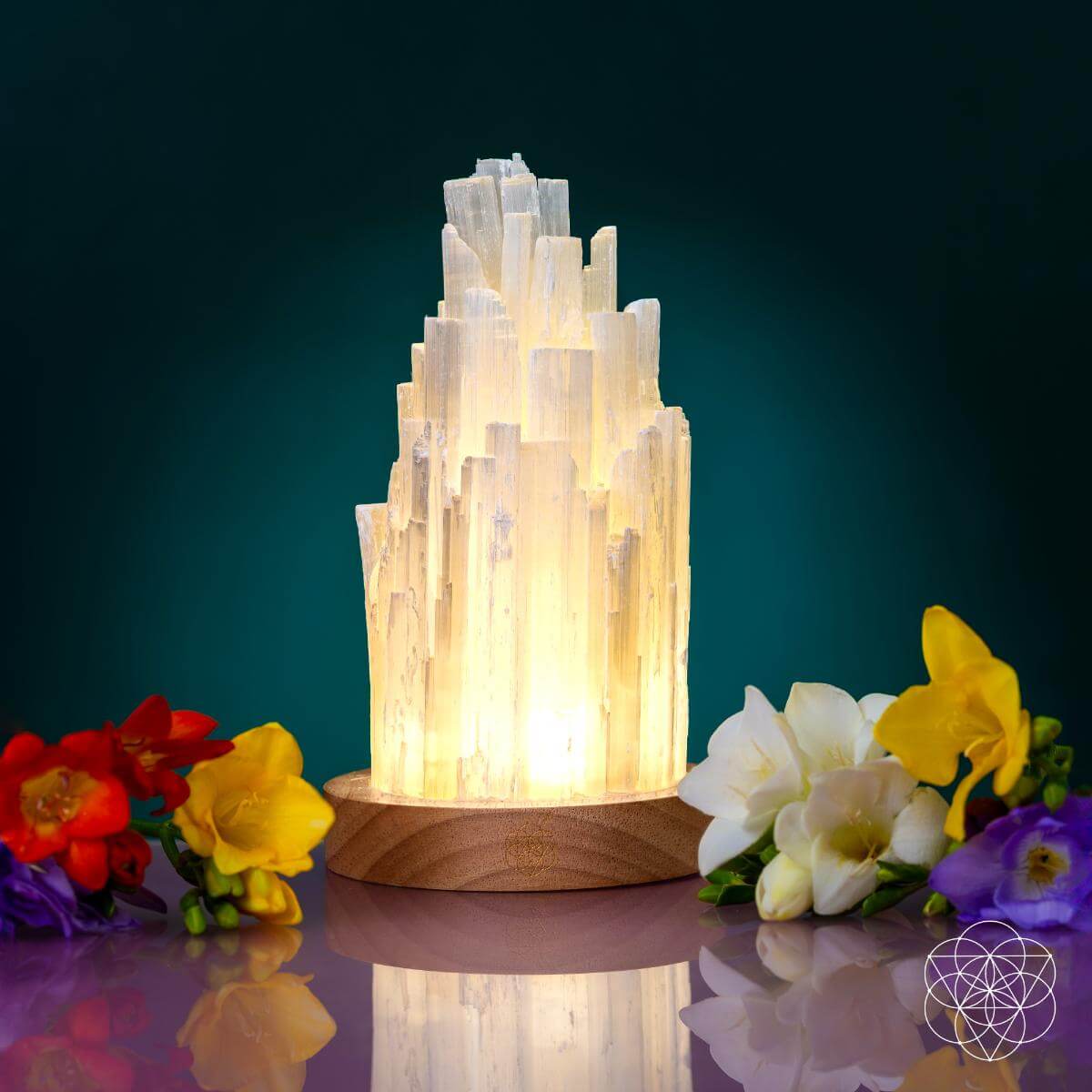 Selenite Crystal Lamp - 2 lb Natural Stone Night Light with Remote